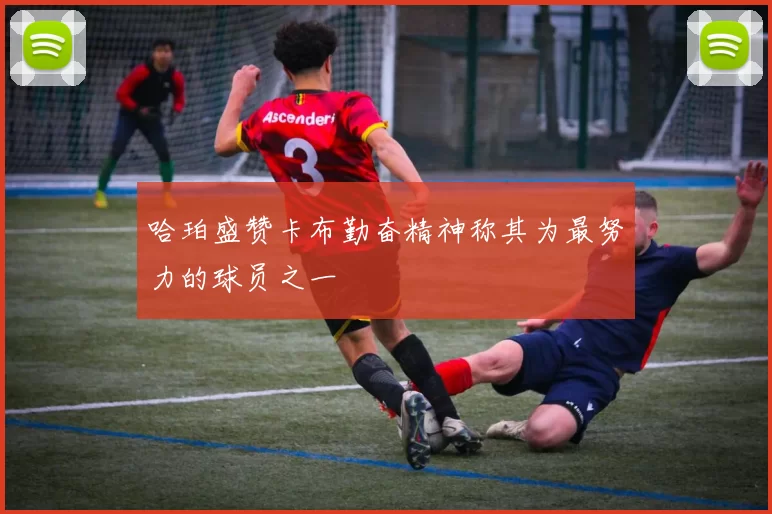 哈珀盛赞卡布勤奋精神称其为最努力的球员之一
